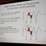 Net protein balance response to nutrition and exercise