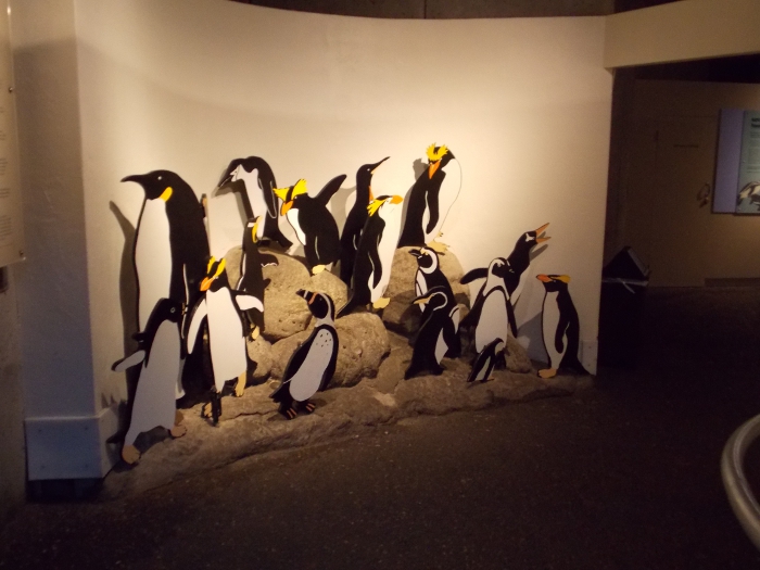 Penguin cutout display