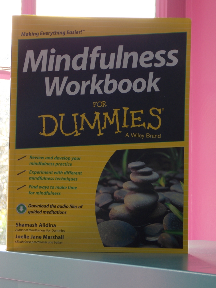 Mindfulness Workbook For Dummies