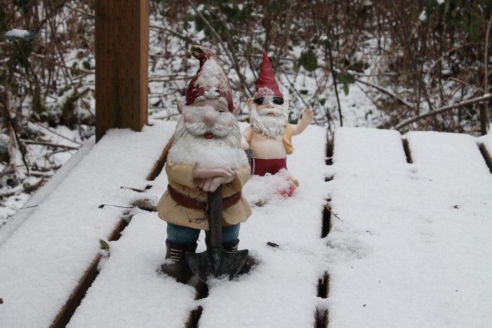 Snowy Gnomes