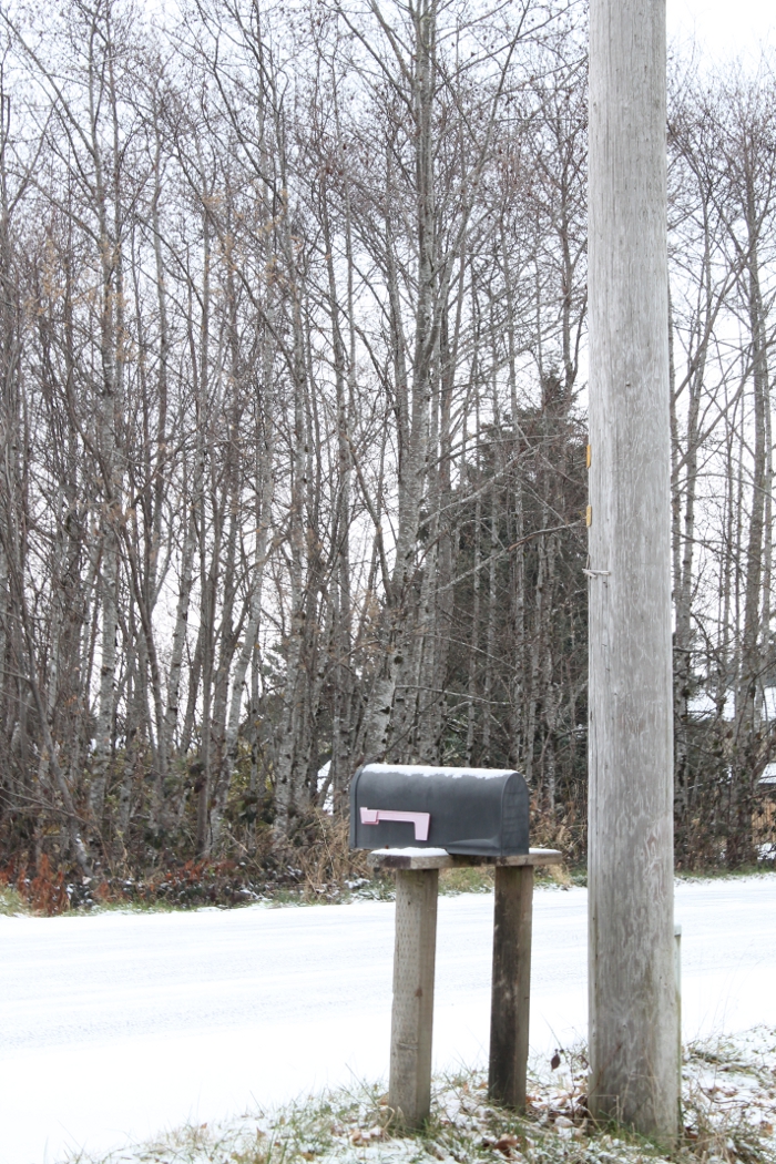 Snowy Mailbox