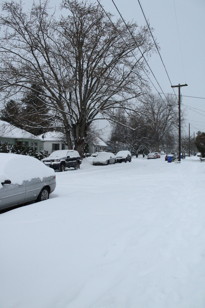 Snow-Covered street