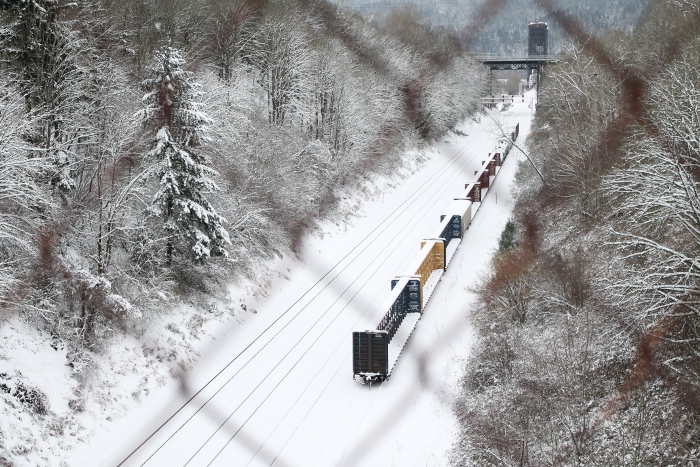 Snow-covered train