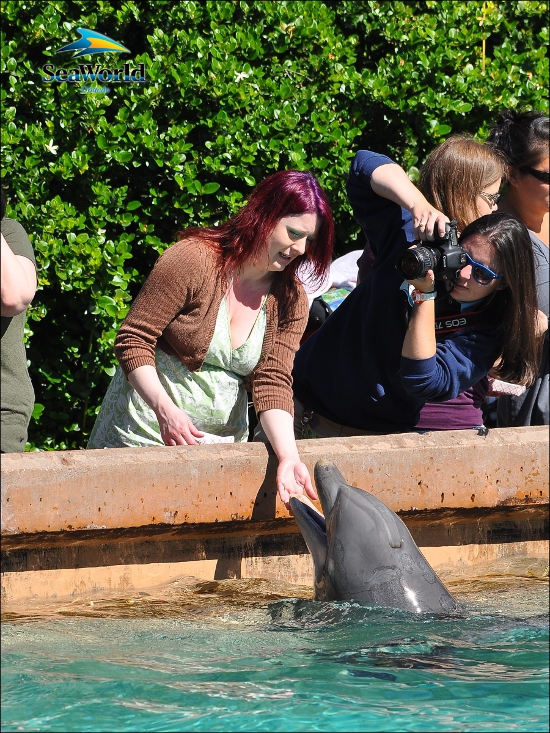 Beeb feeds a dolphin