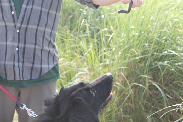 Bob gets ready to taste a Flossies treat